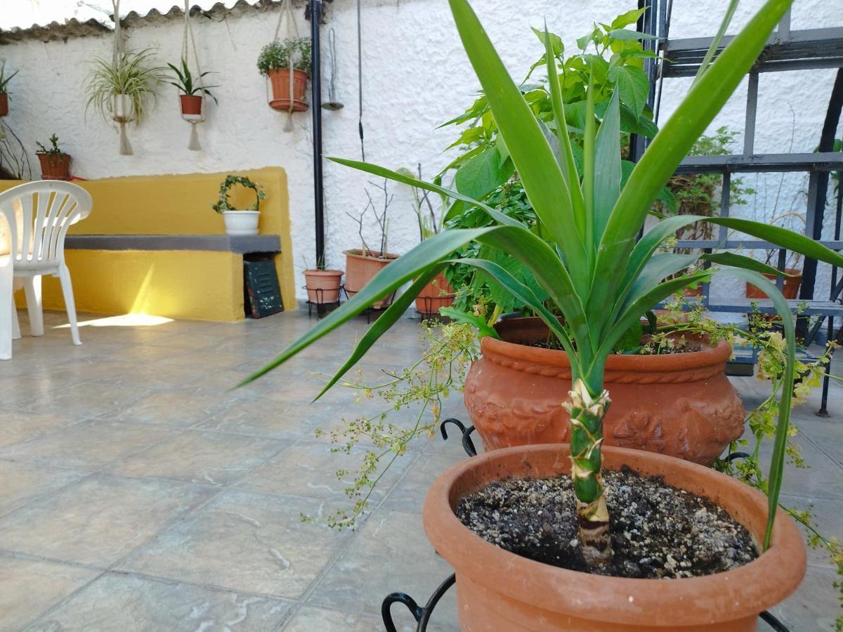 Voulas Guest House 볼로스 외부 사진