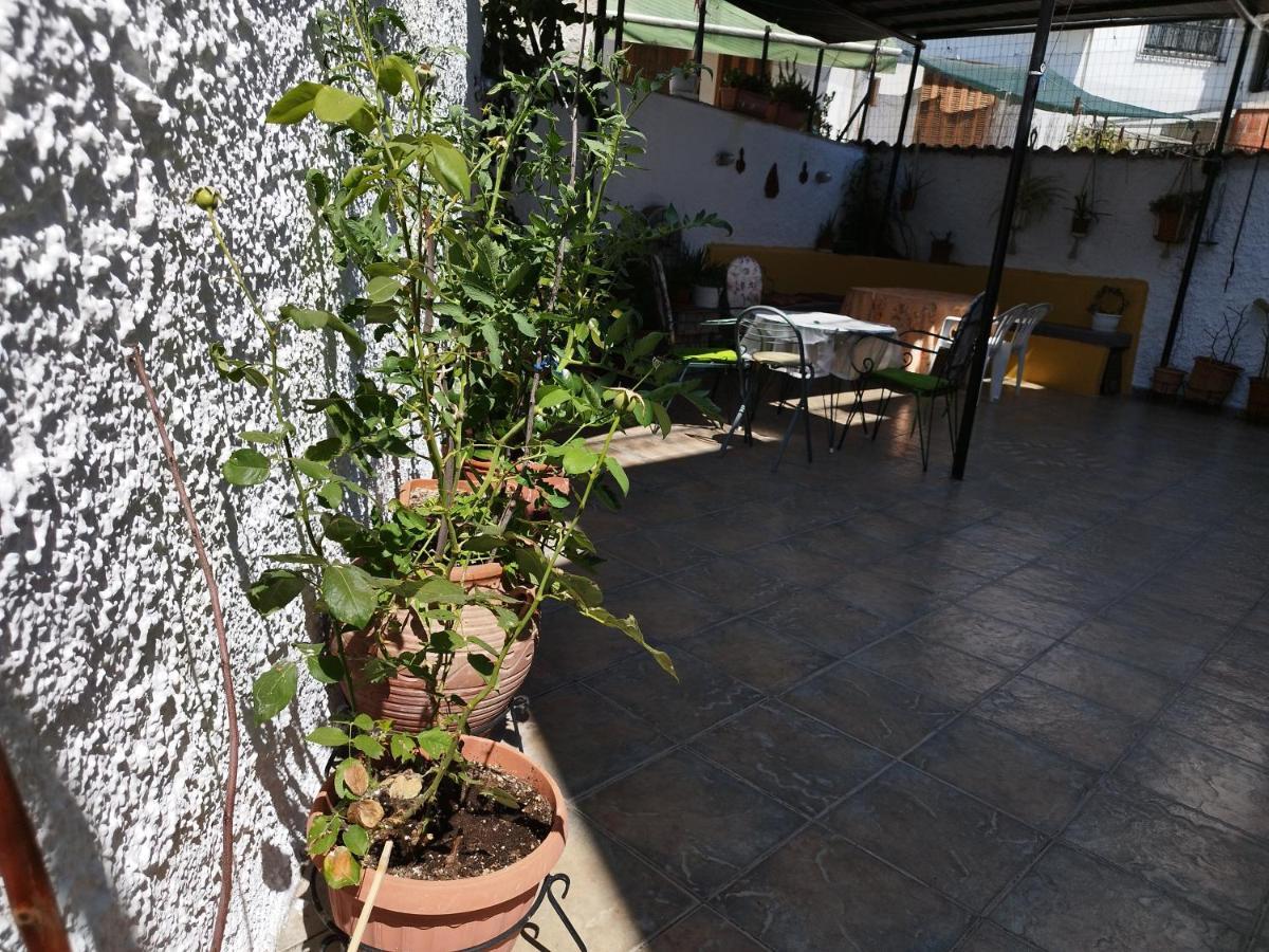 Voulas Guest House 볼로스 외부 사진